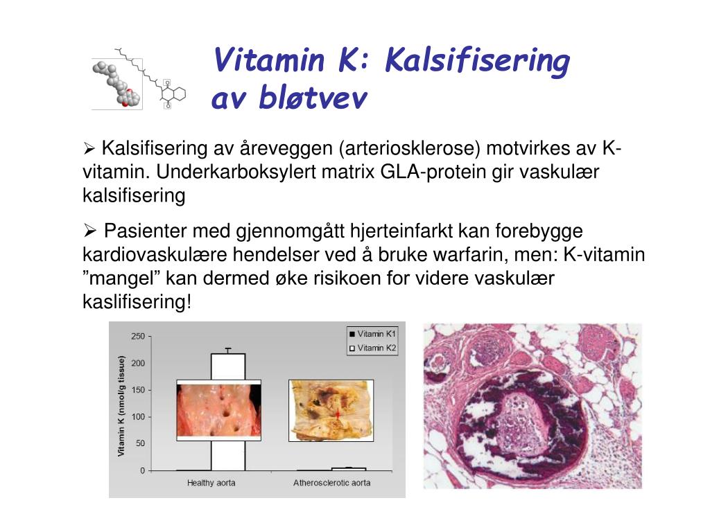 Ppt Vitamin K Struktur Powerpoint Presentation Free