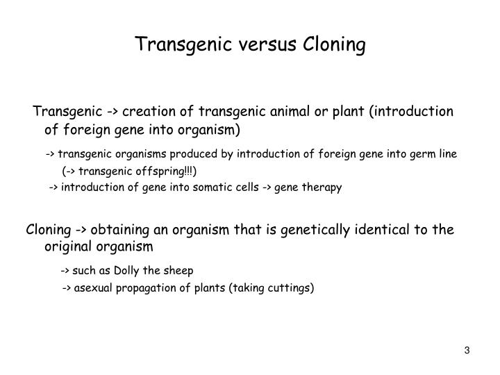transgenic animals essay Transgenic animals a transgenic animal is one that carries a foreign gene that has been deliberately inserted into its genome the foreign gene is constructed using recombinant dna methodology. transgenic animals essay Transgenic animals a transgenic animal is one that carries a foreign gene that has been deliberately inserted into its genome the foreign gene is constructed using recombinant dna methodology.