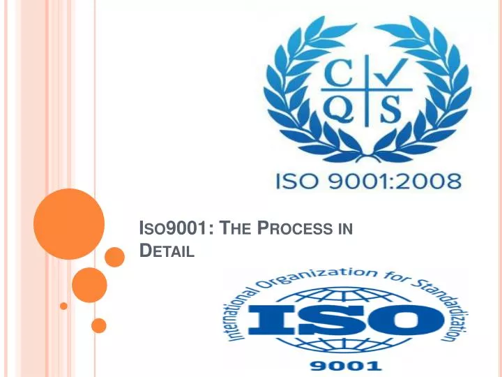 iso9001 the process in detail n.