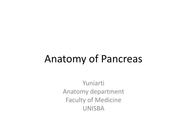anatomy of pancreas n.