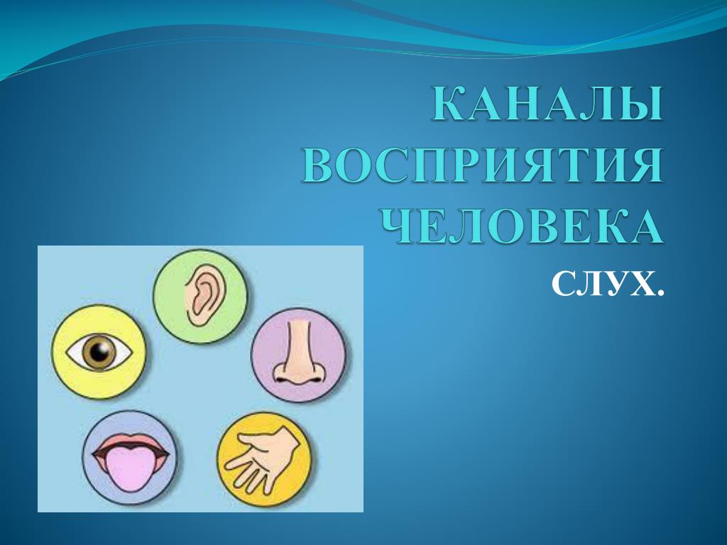 Канал люди. Каналы восприятия информации человеком. Пять каналов восприятия. Каналы восприятия информации человеком технология 5 класс. Каналы восприятия информации человеком доклад.