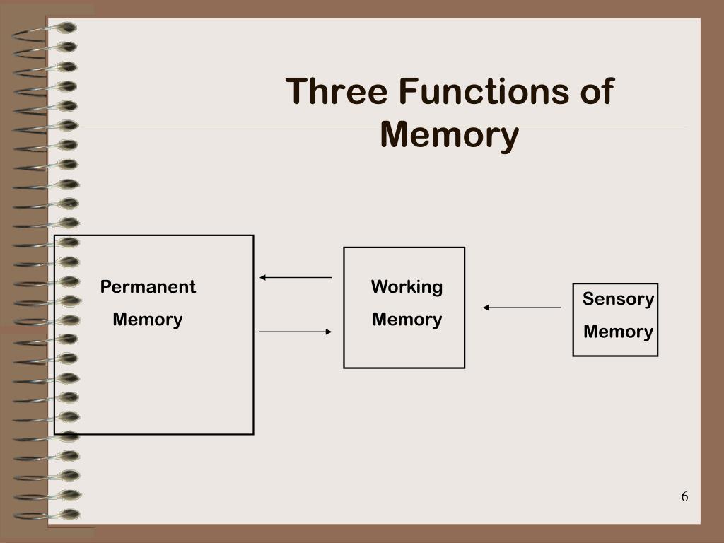The Three Functions Of Memory Are