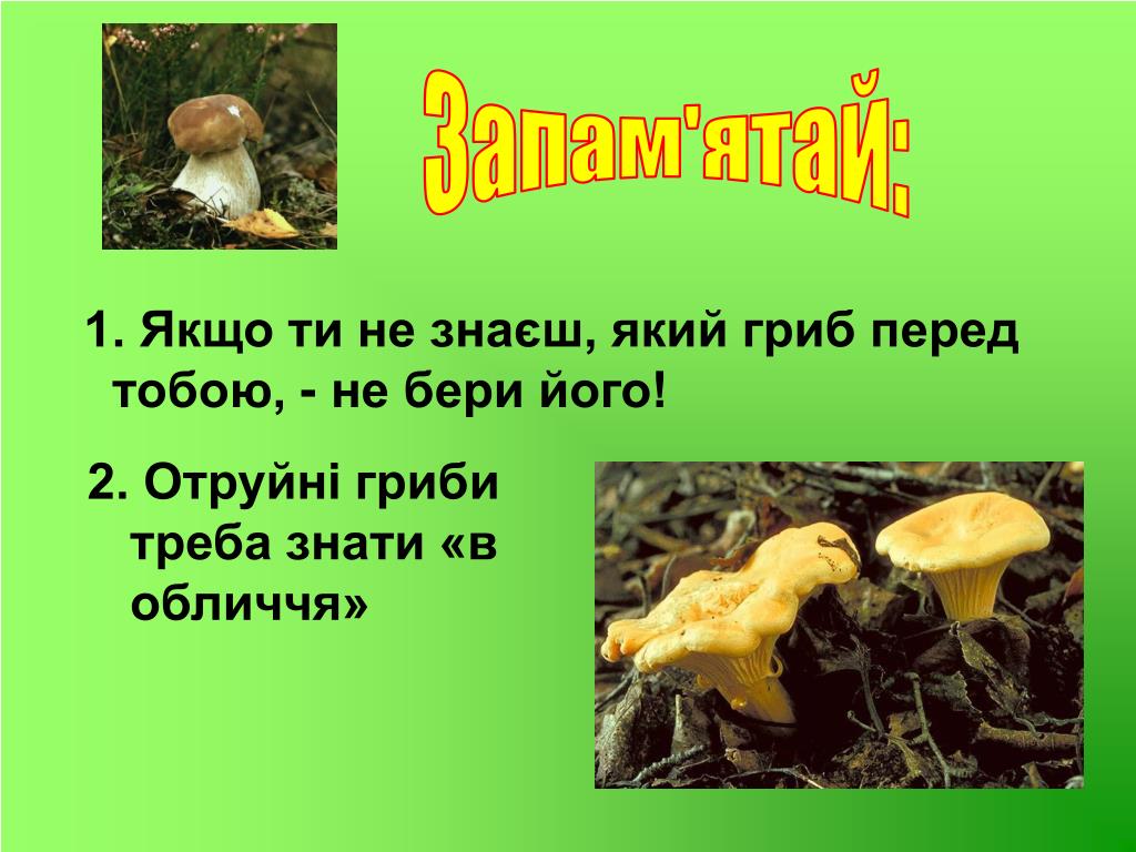 Окружающий мир 2 класс учебник лесные опасности. Лесные опасности грибы 2 класс. Опасные грибы по окружающими миру. Ядовитые грибы по окружающему миру 2. Лесные опасности окружающий мир.