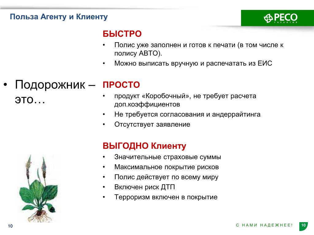 Объясните слово полис. Полис подорожник. Подорожник ресо. Полис подорожник ресо. Страховка подорожник ресо.