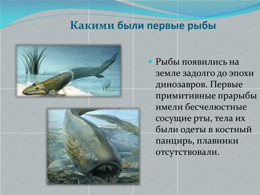 Какими были первые рыбы. Древние рыбы. Первые древние рыбы. Когда появились первые рыбы на земле. Первые бесчелюстные рыбы на земле.