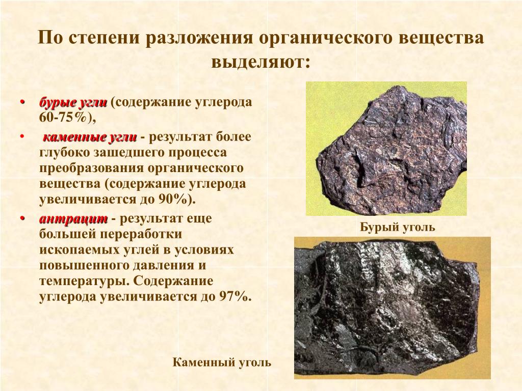 Нефть относится к горным породам. Органические осадочные породы. Осадочные органические горные породы. Каменный уголь Горная порода. Каменный уголь содержание углерода.