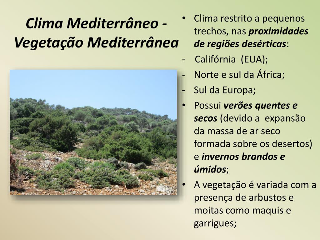 Os tipos climáticos e as paisagens vegetais. - ppt carregar