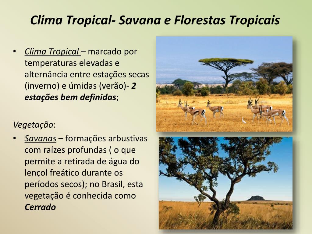 Os tipos climáticos e as paisagens vegetais. - ppt carregar