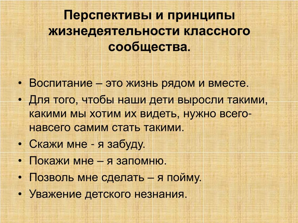 Всего навсего предложение. Принципы жизнедеятельности классного сообщества. Перспективы и принципы жизнедеятельности классного сообщества. Принципы перспективы. Классные принципы.