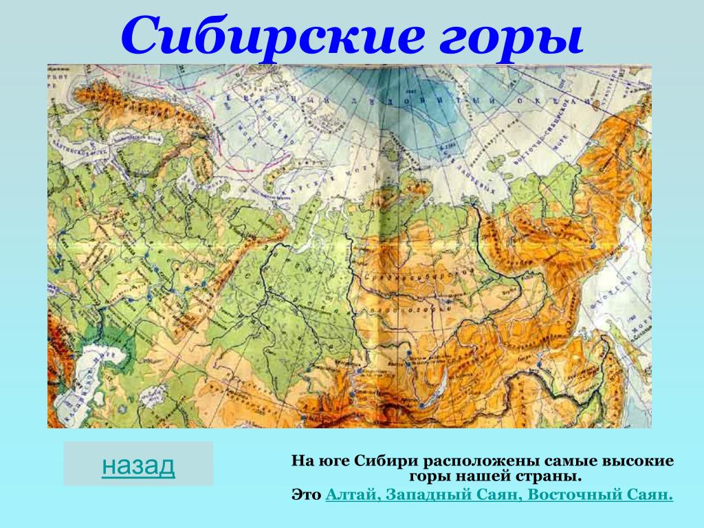 Восточно европейская равнина