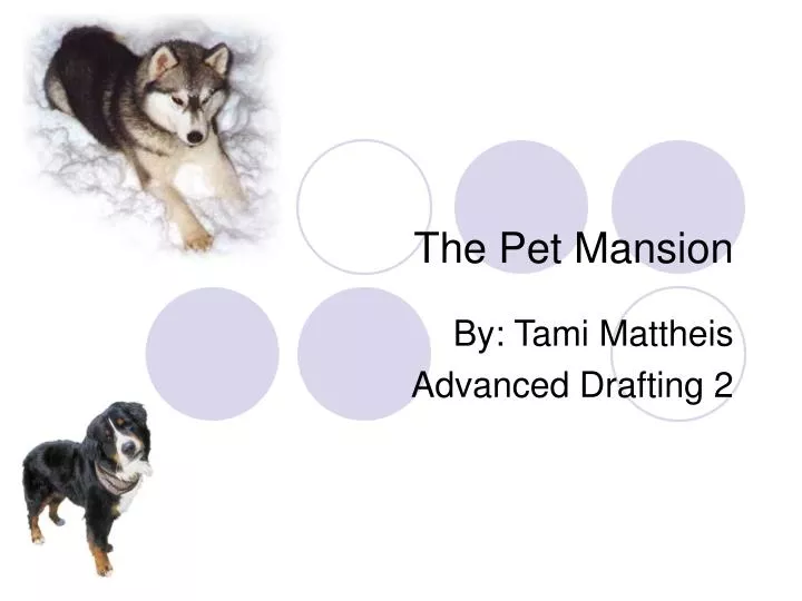 PPT The Pet Mansion PowerPoint Presentation, free download ID5897016