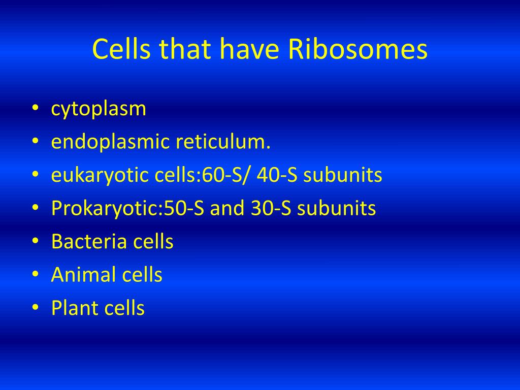 PPT - Ribosome PowerPoint Presentation - ID:5898532