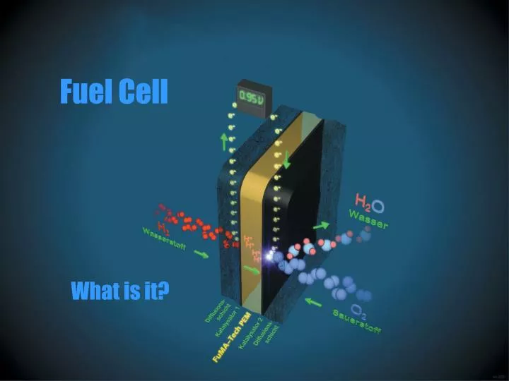 fuel cell n.