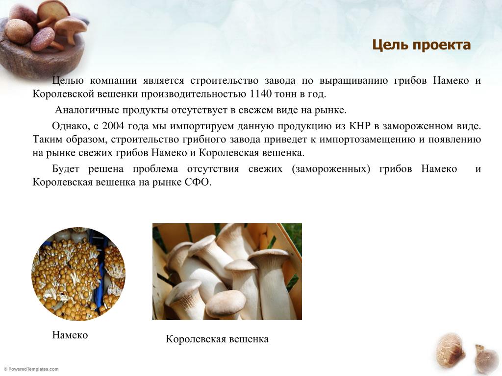 Проект по биологии выращивание грибов 7 класс