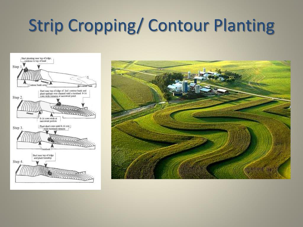 PPT Soil A Renewable Resource PowerPoint Presentation Free ppt-soil-a-renewable-resource-powerpoint-presentation-free