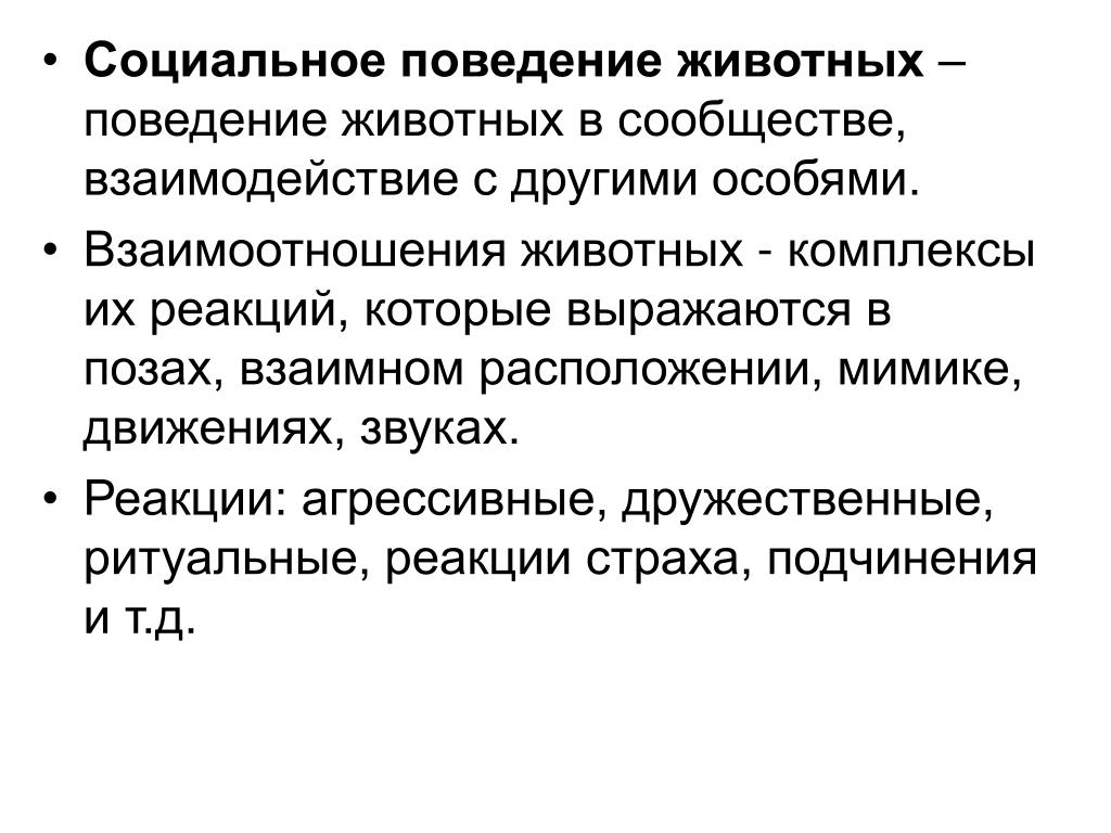 Картинки ОПРЕДЕЛЕНИЕ ПОВЕДЕНИЮ ЖИВОТНЫХ
