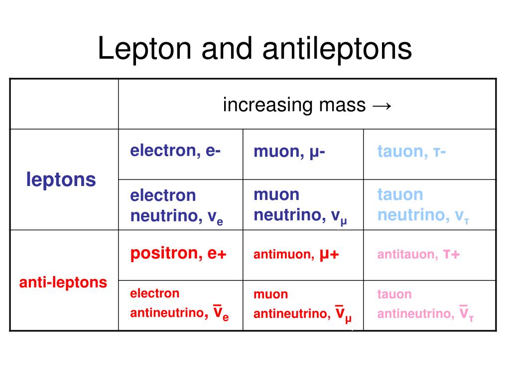 lepton flavors lepton flavors