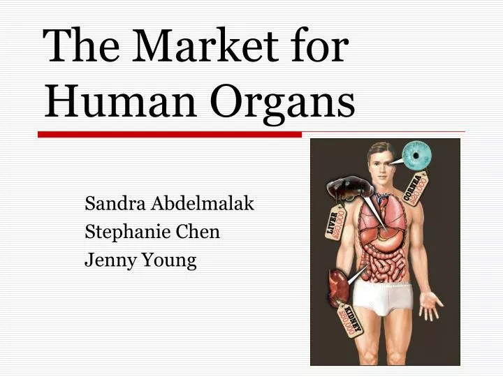 the market for human organs n.