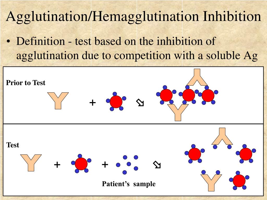 Examples Of Agglutination Test