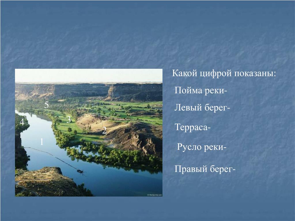 На берегу какой реки расположена москва. Левая Пойма реки. Пойма реки расстояние. Река для POWERPOINT. О Волга колыбель моя.