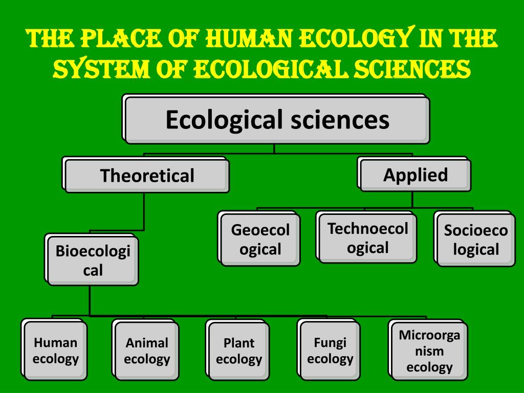 Human ecology. Ecology subject. The role of Humans in ecology. What is the Human ecology.