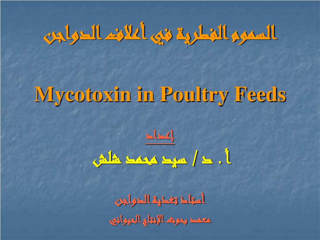 PPT - السموم الفطرية في أعلاف الدواجن Mycotoxin in Poultry Feeds إعداد أ .  د / سيد محمد شلش PowerPoint Presentation - ID:5908660