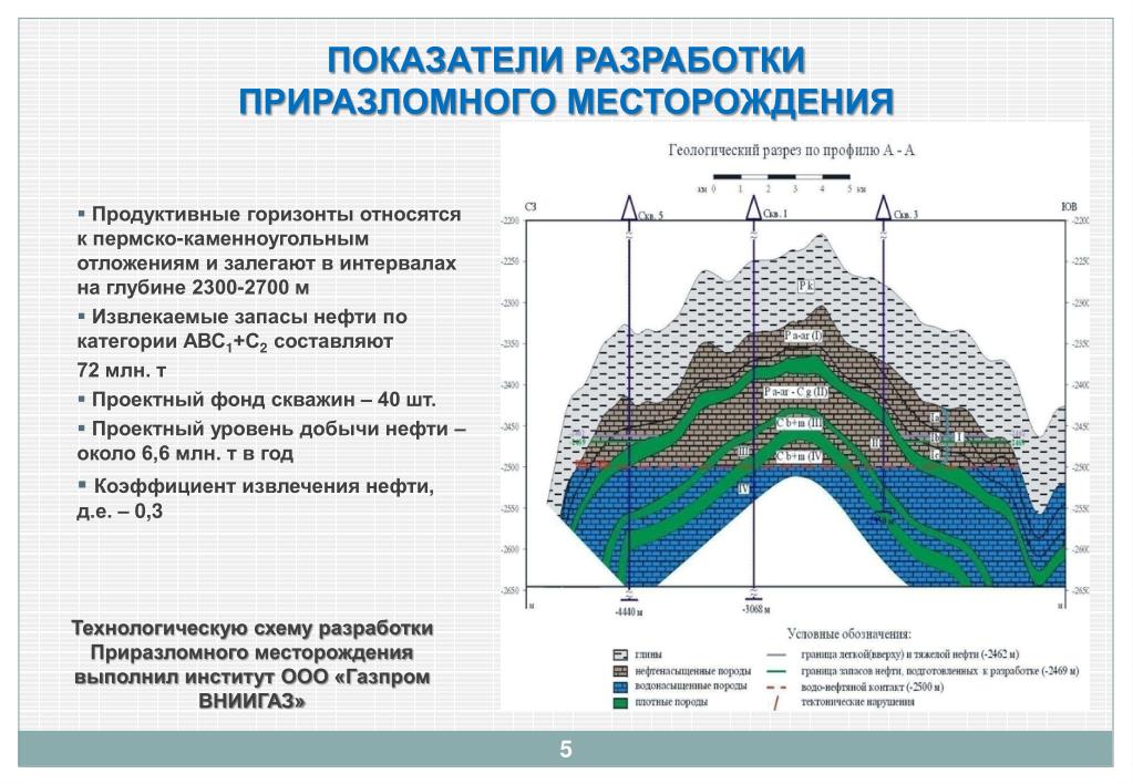 Инвестиционный проект разработки месторождения