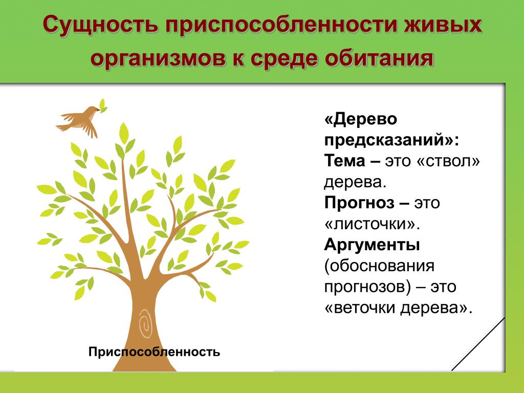 Какую среду обитания освоила яблоня впр. Приспособленность к среде обитания. Приспособленность живых организмов к среде. Приспособление деревьев к среде обитания. Дерево приспособление к среде.