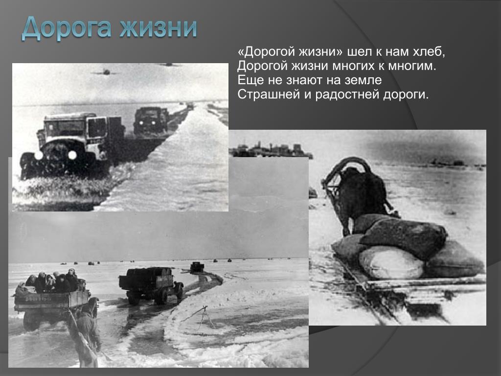 Дорога Жизни Фото