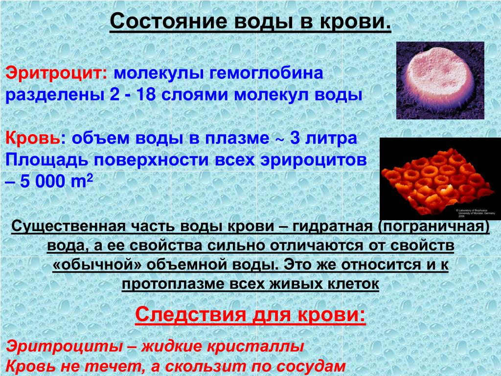 Содержание соли в крови человека. Эритроцит молекула гемоглобина. Количество воды в крови. Эритроциты в воде.