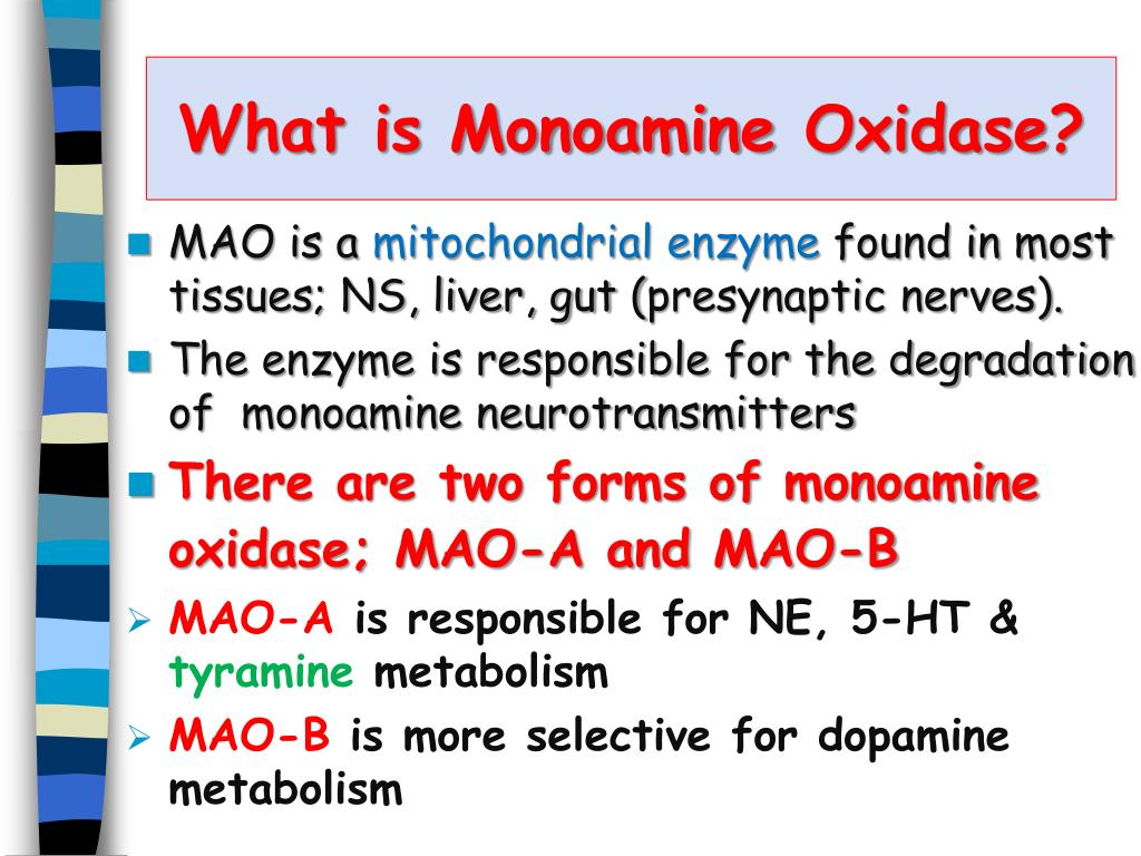 Ppt Monoamine Oxidase Inhibitors Powerpoint Presentation Free Download Id5914020 