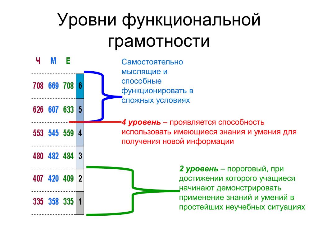 Мониторинг функциональной грамотности для студентов спо. Уровни формирования функциональной грамотности. Описание уровней функциональной грамотности в исследовании Pisa. Показатели функциональной грамотности учащихся. Уровни функциональной грамотности школьников.