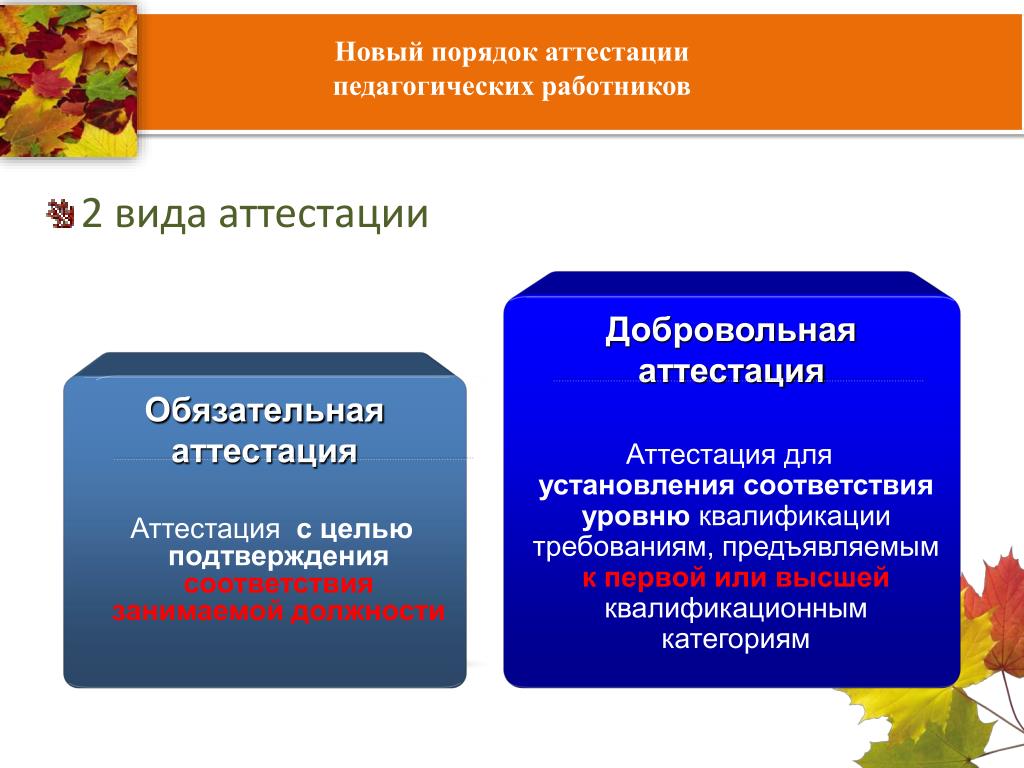 Новое в аттестации педагогических работников 2024 год. Виды аттестации педагогических работников. Виды аттестации у воспитателей. Новый порядок аттестации педагогических работников. Виды аттестации педработников.