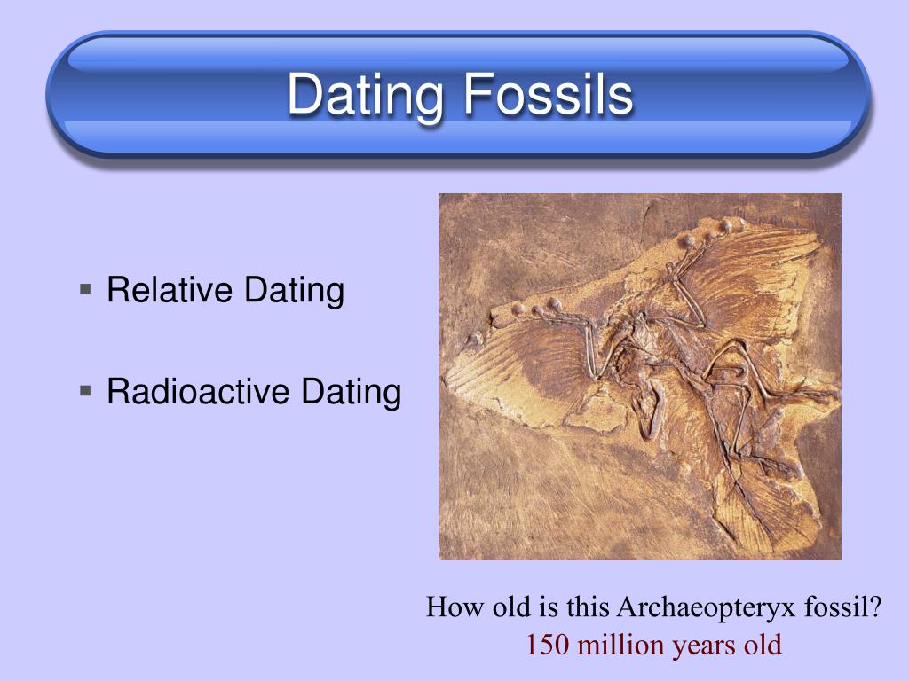 fossils and relative dating ppt