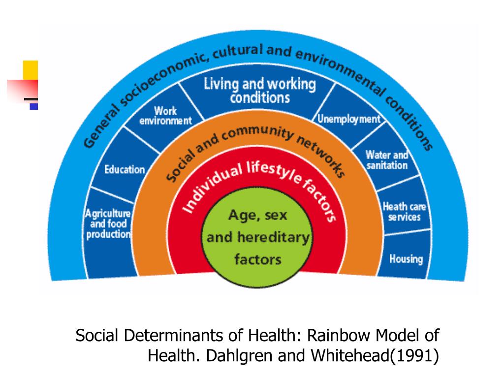 PPT How Healthcare Professionals Can Tackle Health Inequalties 