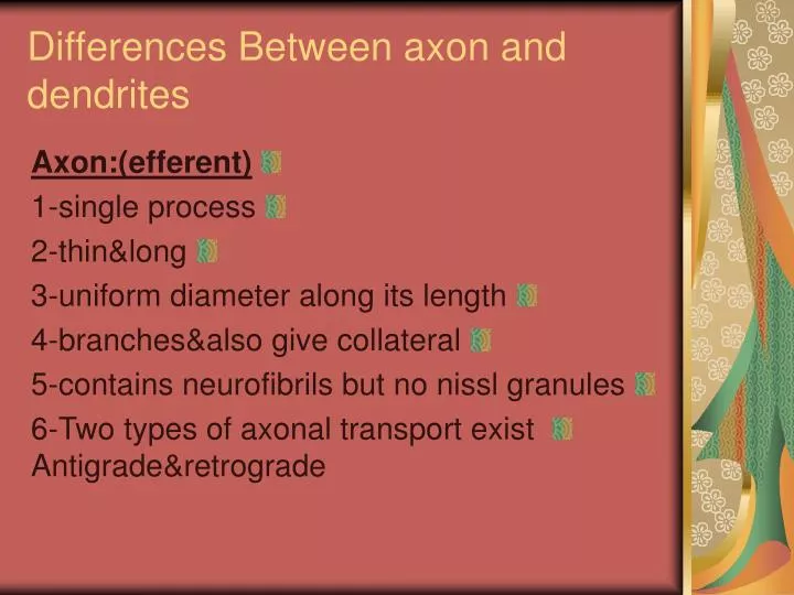 difference between axon and dendrite