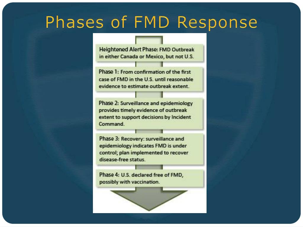 Ppt Fmd Vaccination Preparedness Availability And Limitations