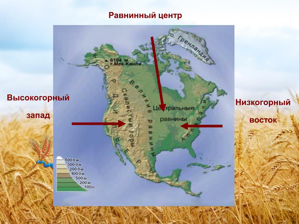 Западно восточная равнина на карте. Равнинный Восток. Равнинный Восток Северной Америки. Низкогорный рельеф. Равнинные формы рельефа Северной Америки.