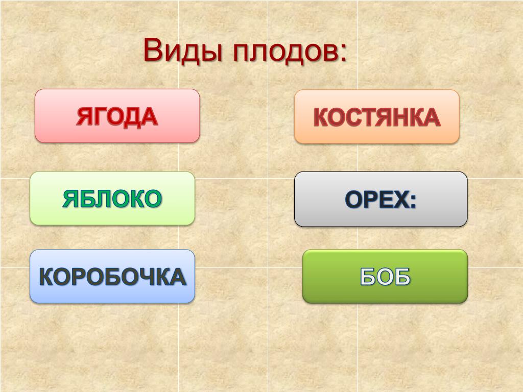 62) Формирование плодов, их строение и классификация.