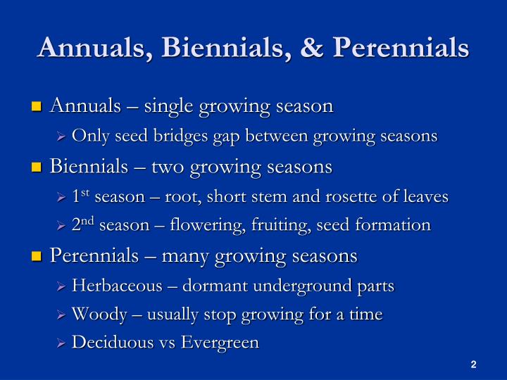 The Classification Of Plants Annuals Biennials And Pe vrogue.co