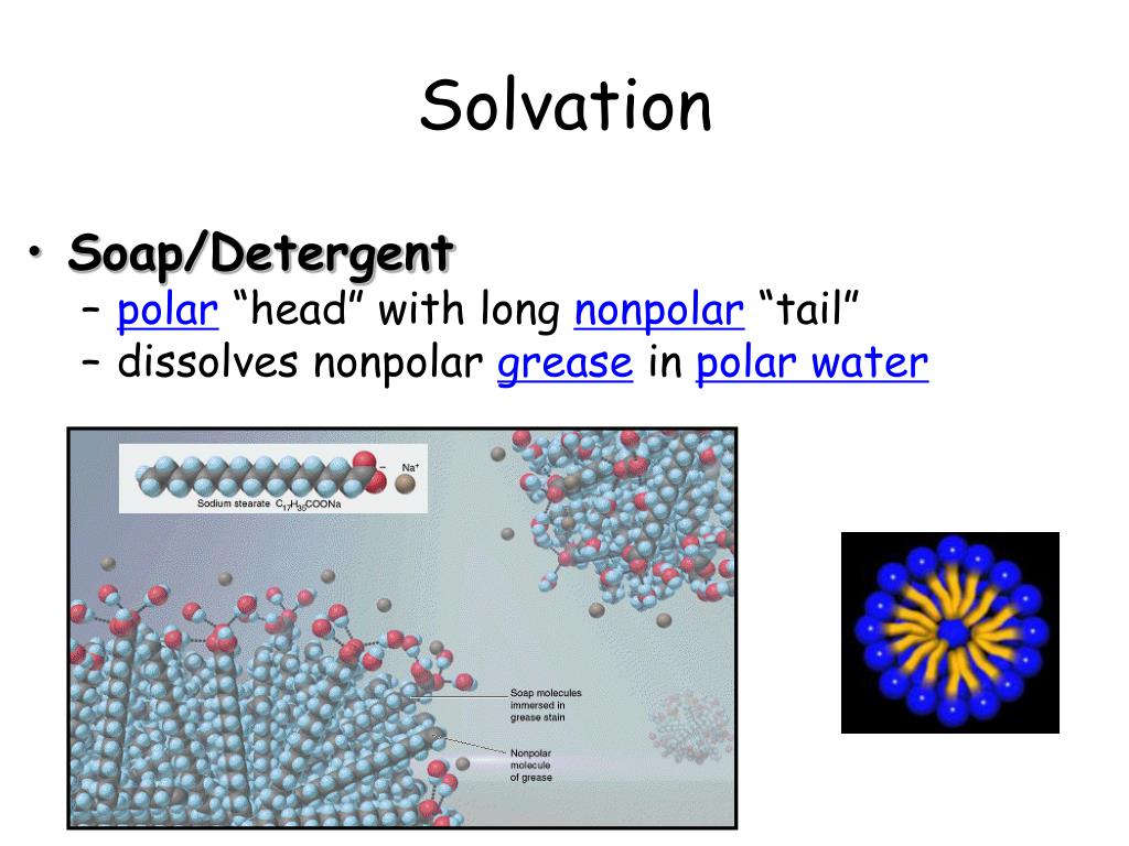 PPT Unit 13 Intermolecular Forces/Solids, Liquids and Solutions