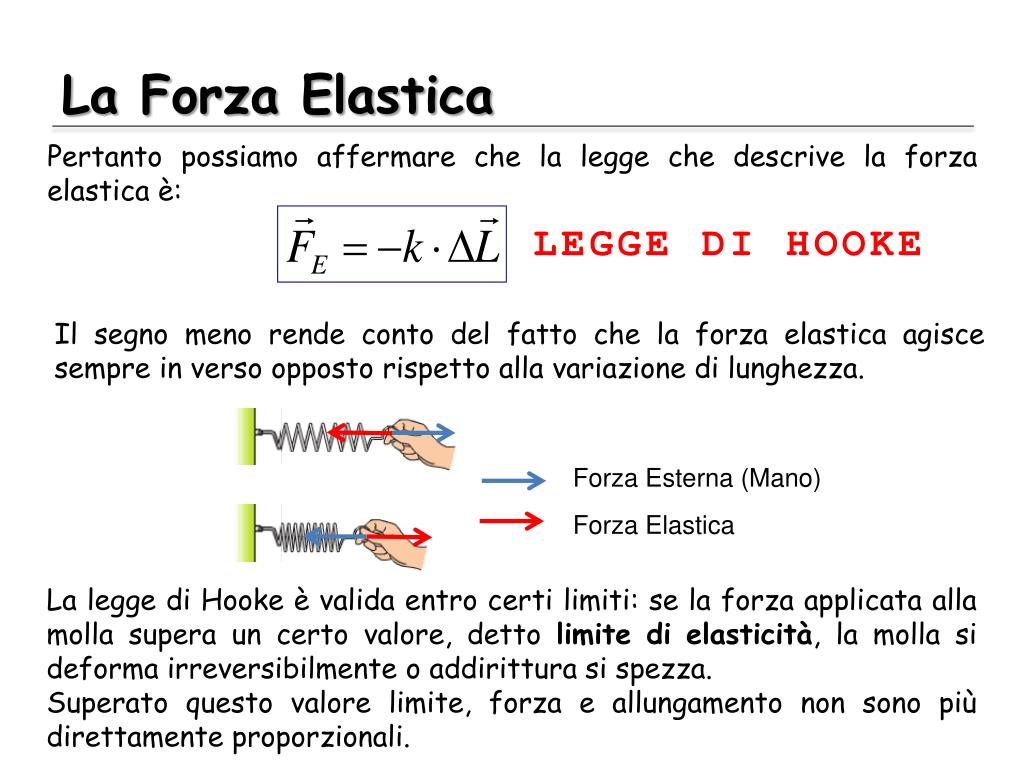 Che Cos è La Forza Elastica