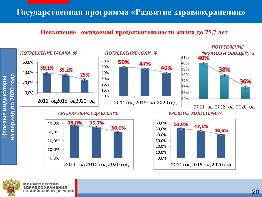 Программы развития здравоохранения проекты Информатизация здравоохранения презентация