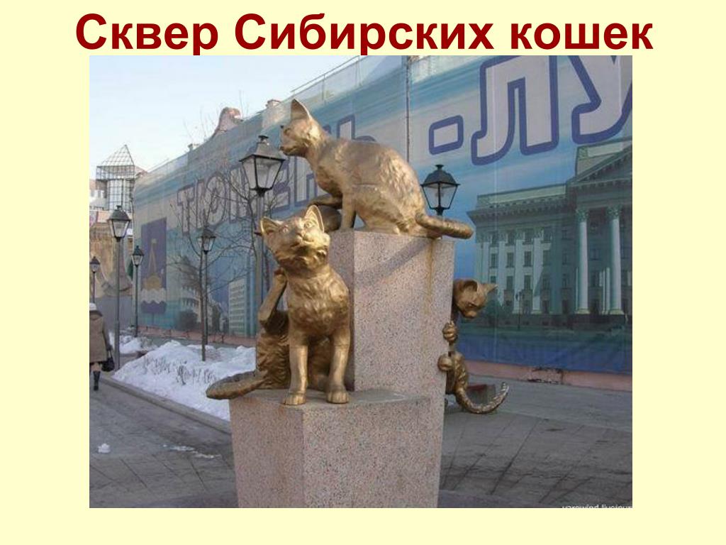 Парк кошек в тюмени адрес