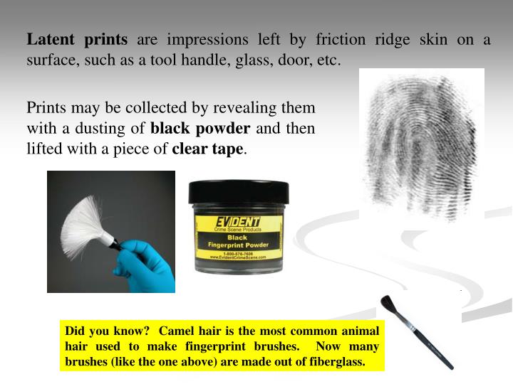 PPT - Fingerprints PowerPoint Presentation - ID:5927440