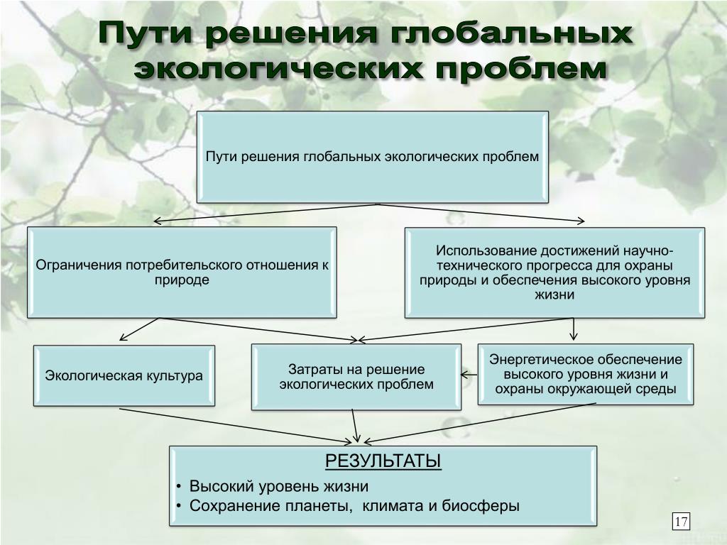 Решение глобальных проблем окружающей среды. Пути решения глобальных экологических проблем. Способы решения глобальных экологических проблем. Способы решения глобальных проблем экологии. Пути решения экологических проблем схема.