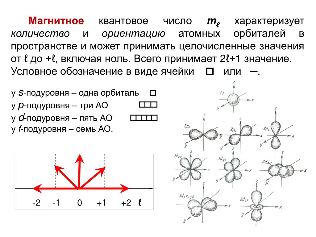 Ml квантовое число. Магнитное квантовое число как определить.