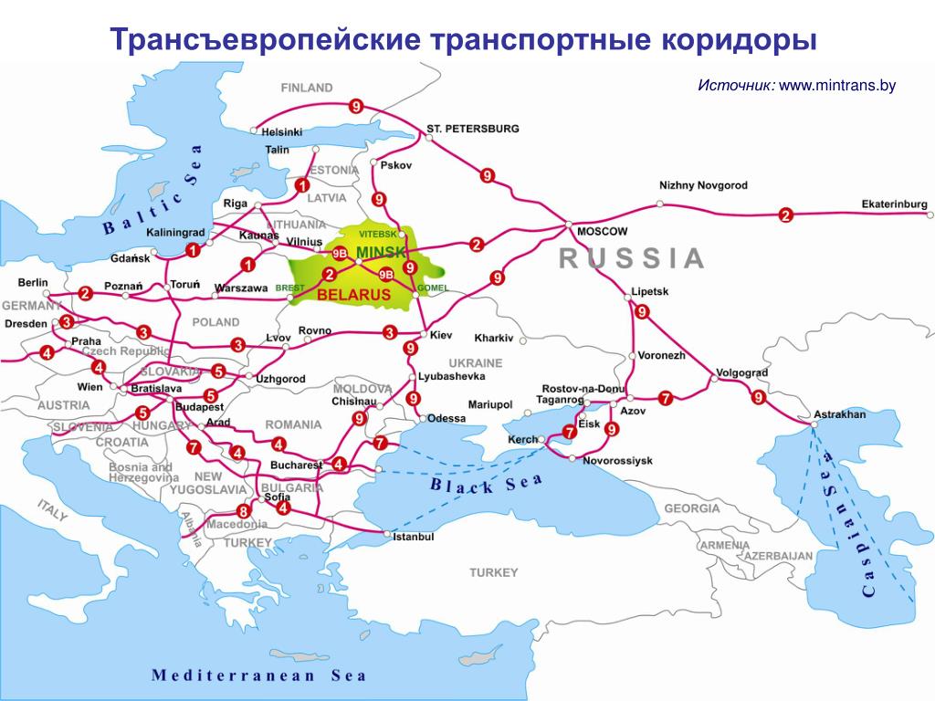 Транспортная сеть карта
