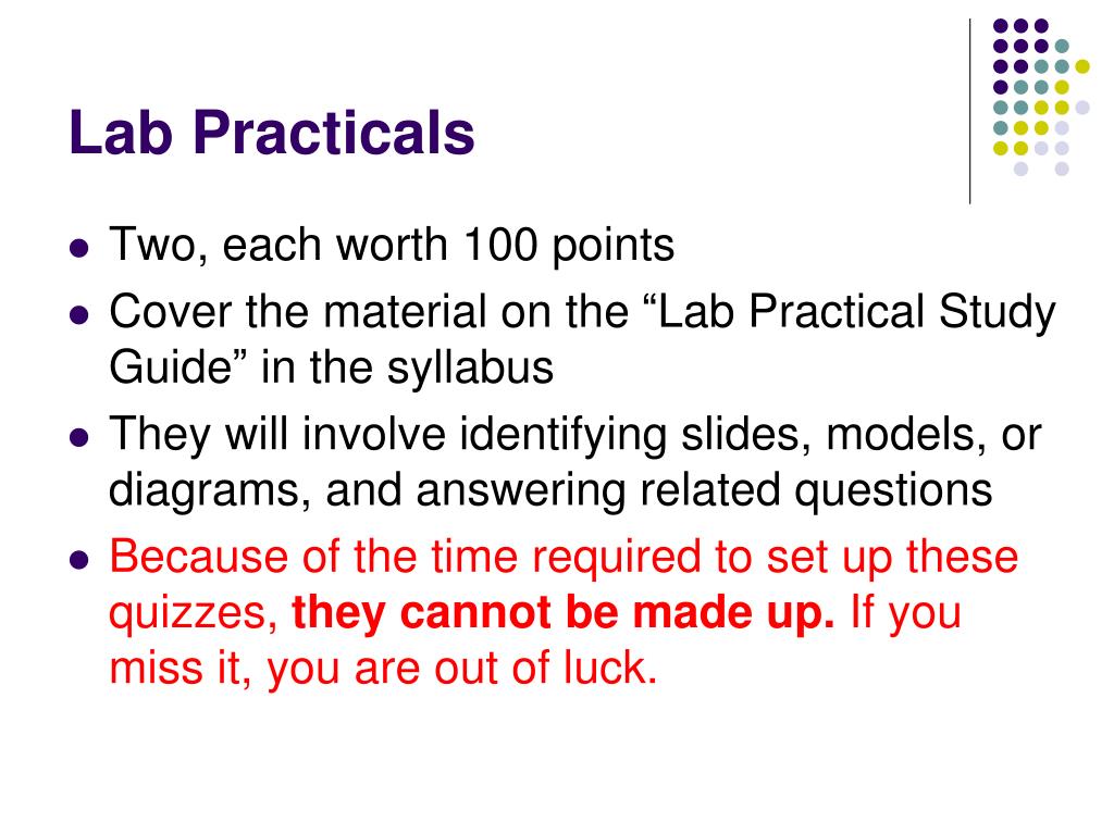 PPT - BIOL 242: Human Anatomy and Physiology II PowerPoint Presentation ...