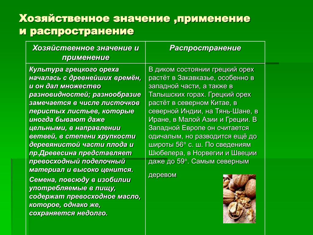 Хозяйственное использование растений. Хозяйственное значение. Распределение хозяйственное значение. Хозяйственное значение кленовые. Что значит хозяйственное значение растения.
